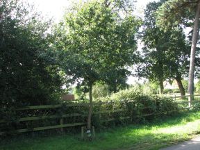 Greenwich Meridian Marker; England; Hertfordshire; Nr Puckeridge